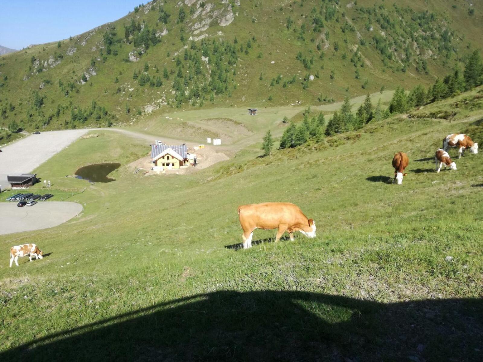 Wieser Huette Stockenboi Exteriör bild